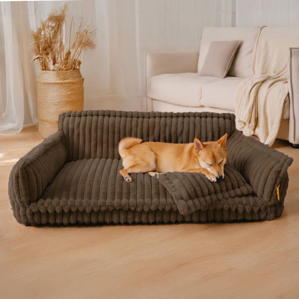 Snoozy Dream Large Orthopedic Dog Sofa Bed