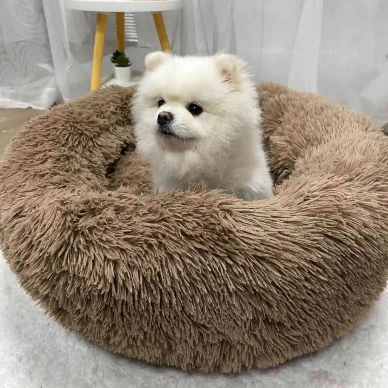 Cozy Donut Dog Bed