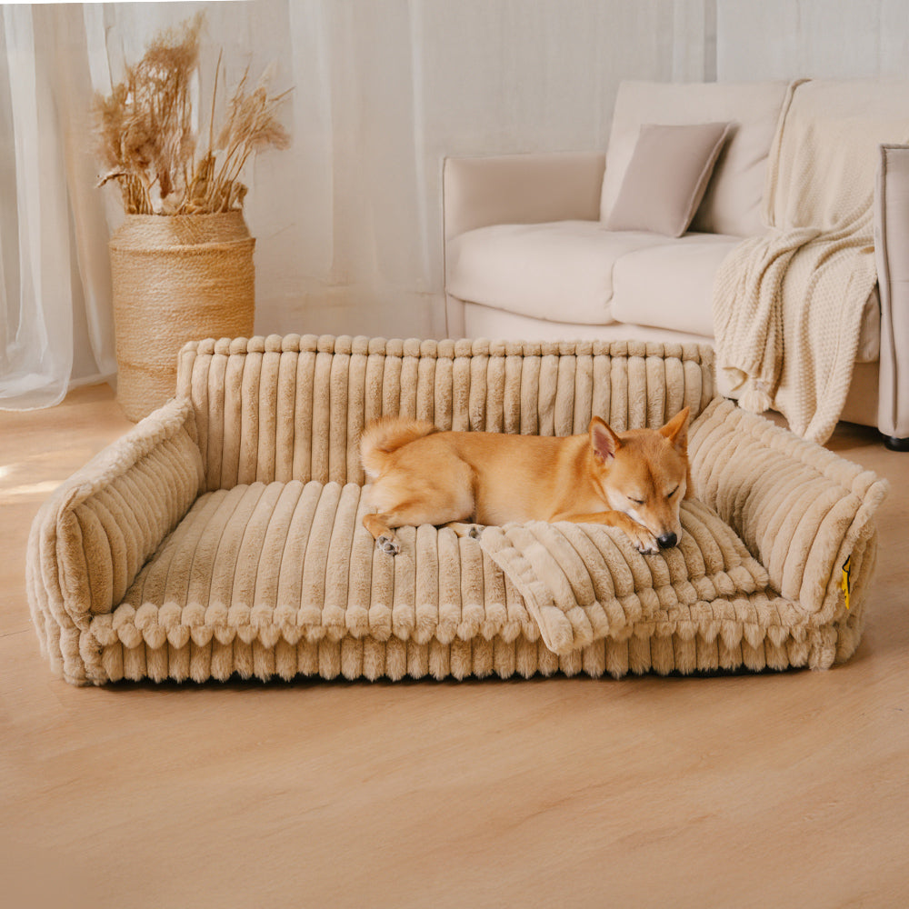 Snoozy Dream Large Orthopedic Dog Sofa Bed