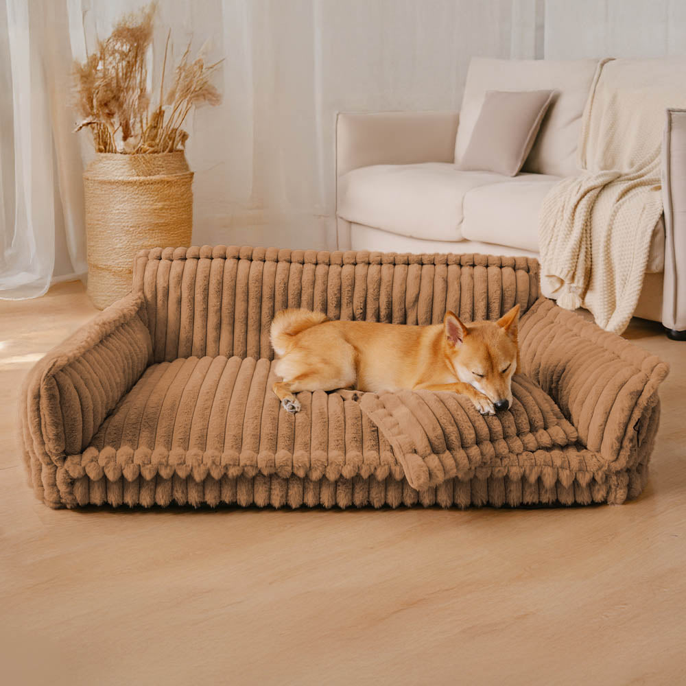Snoozy Dream Large Orthopedic Dog Sofa Bed