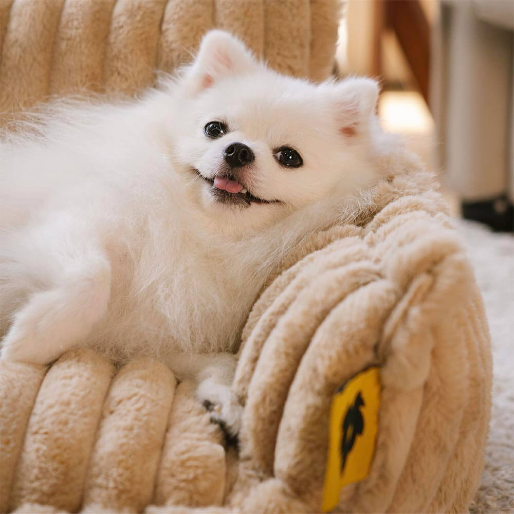 Snoozy Dream Large Orthopedic Dog Sofa Bed