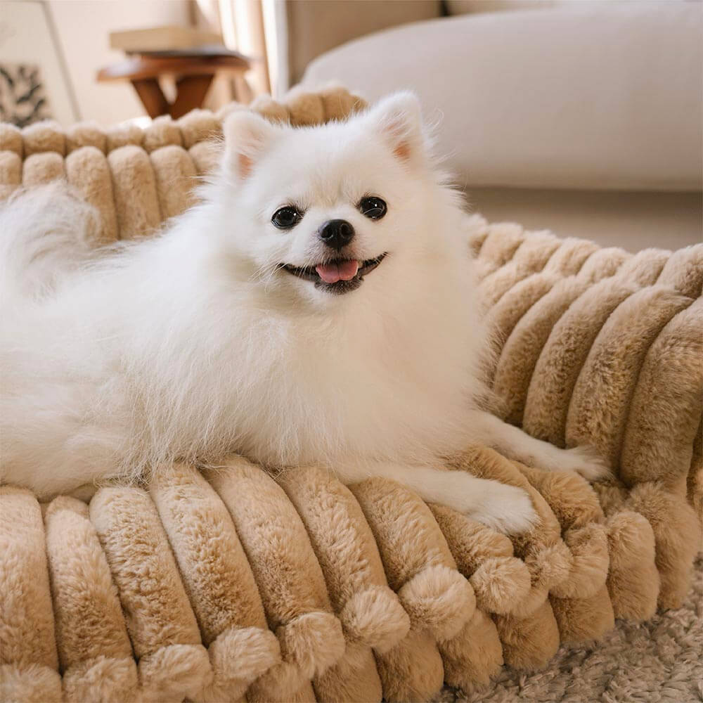 Snoozy Dream Large Orthopedic Dog Sofa Bed