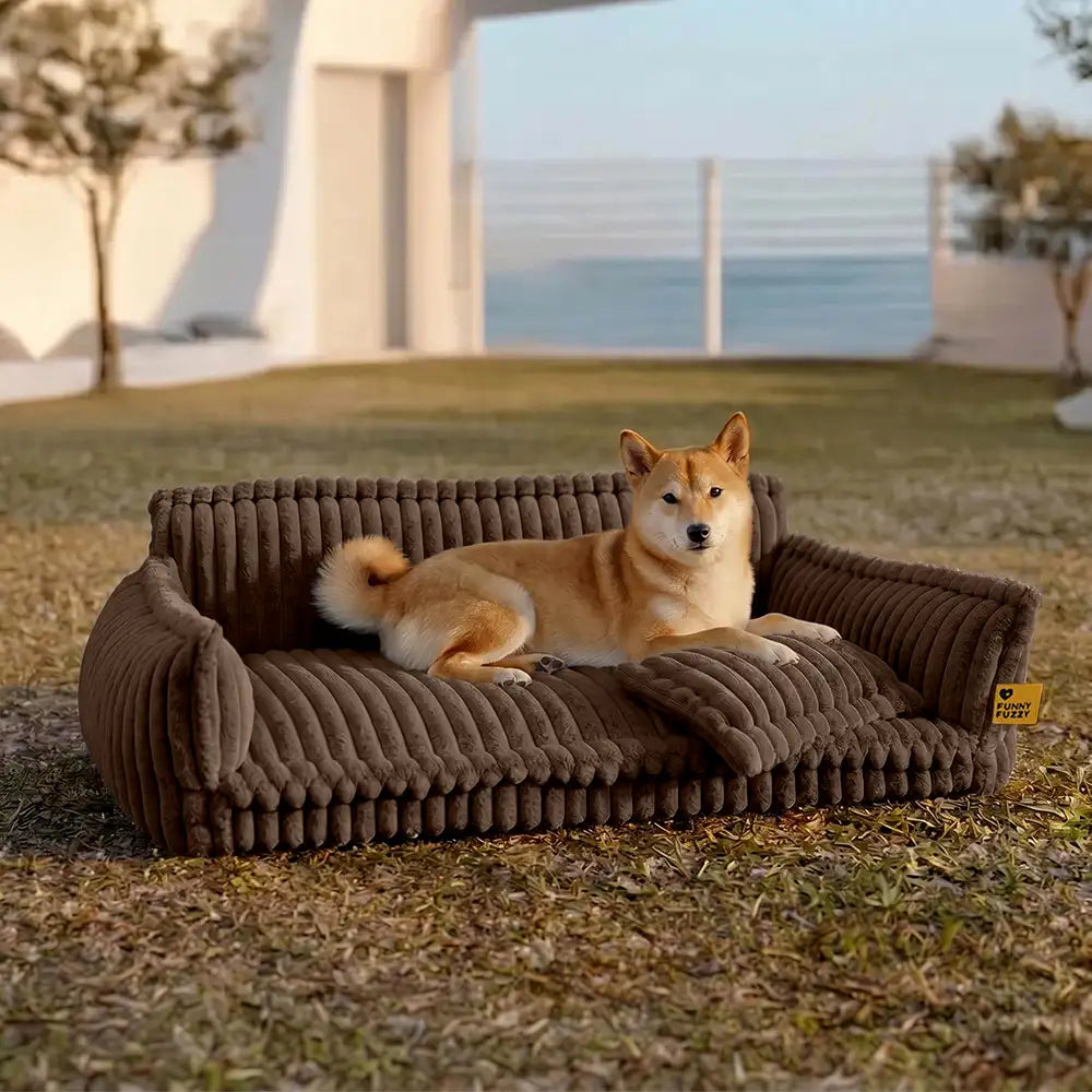 Snoozy Dream Large Orthopedic Dog Sofa Bed