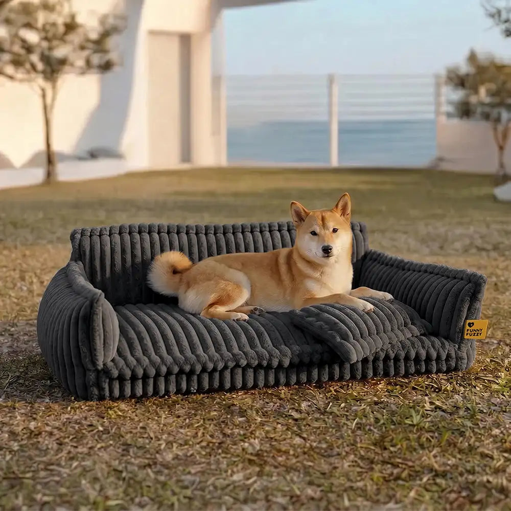 Snoozy Dream Large Orthopedic Dog Sofa Bed