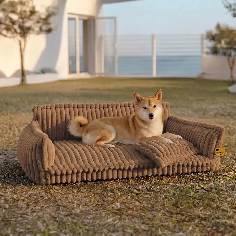 Snoozy Dream Large Orthopedic Dog Sofa Bed