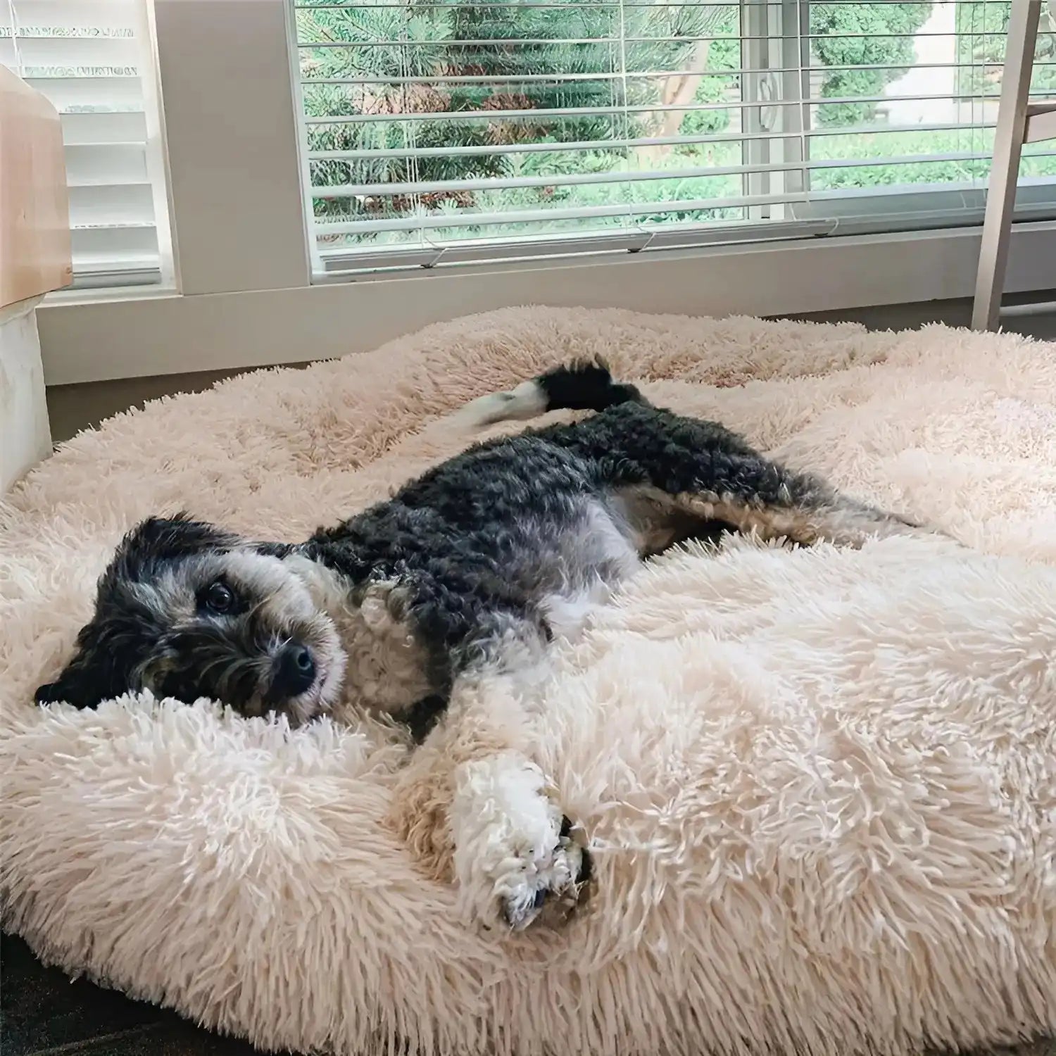 Cozy Donut Dog Bed