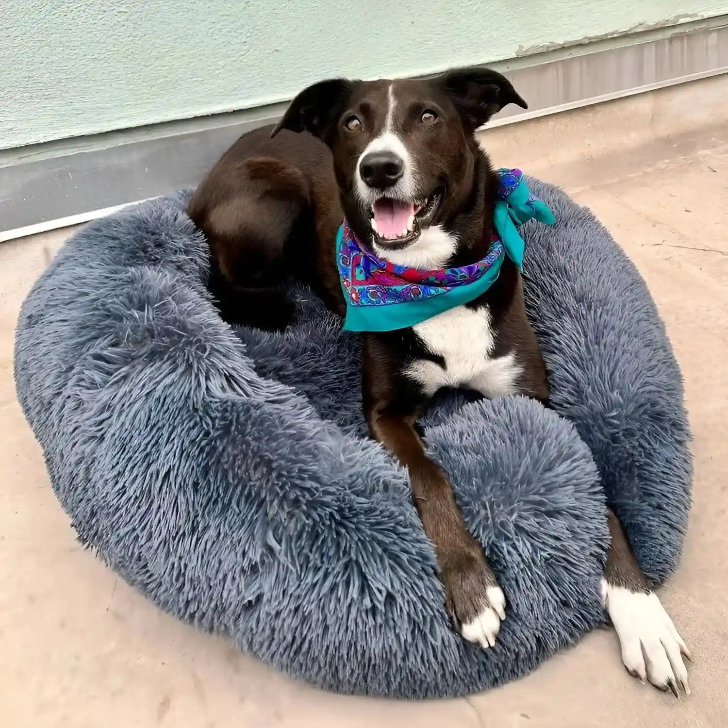 Cozy Donut Dog Bed