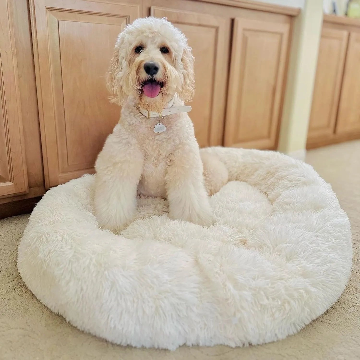 Cozy Donut Dog Bed