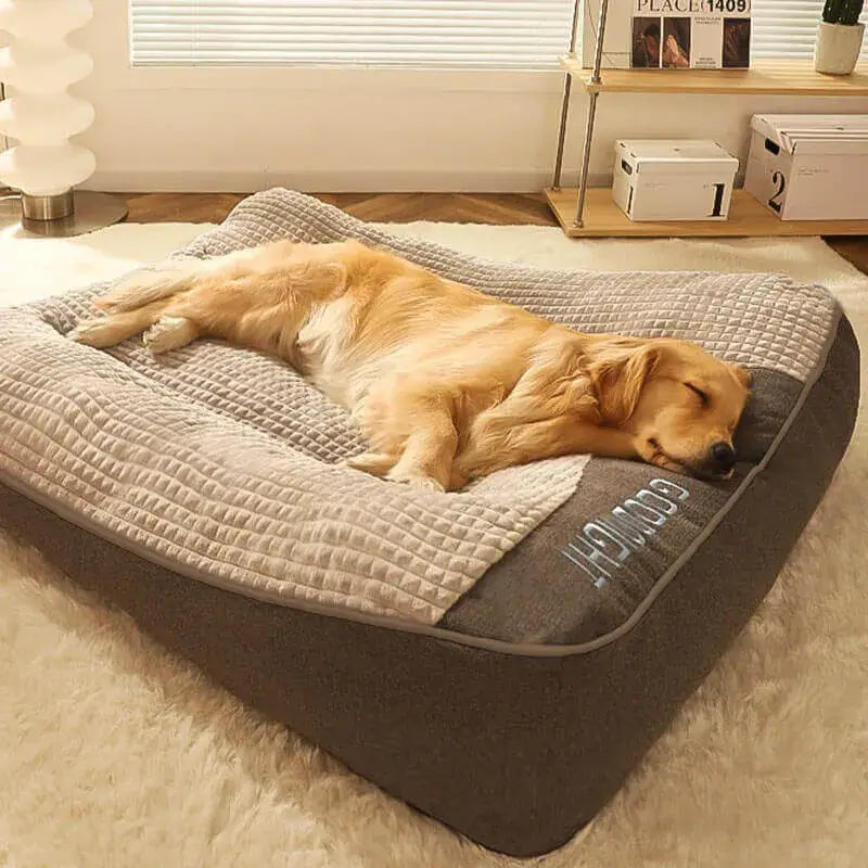 Large Scratch-Resistant Orthopedic Dog Cushion Bed