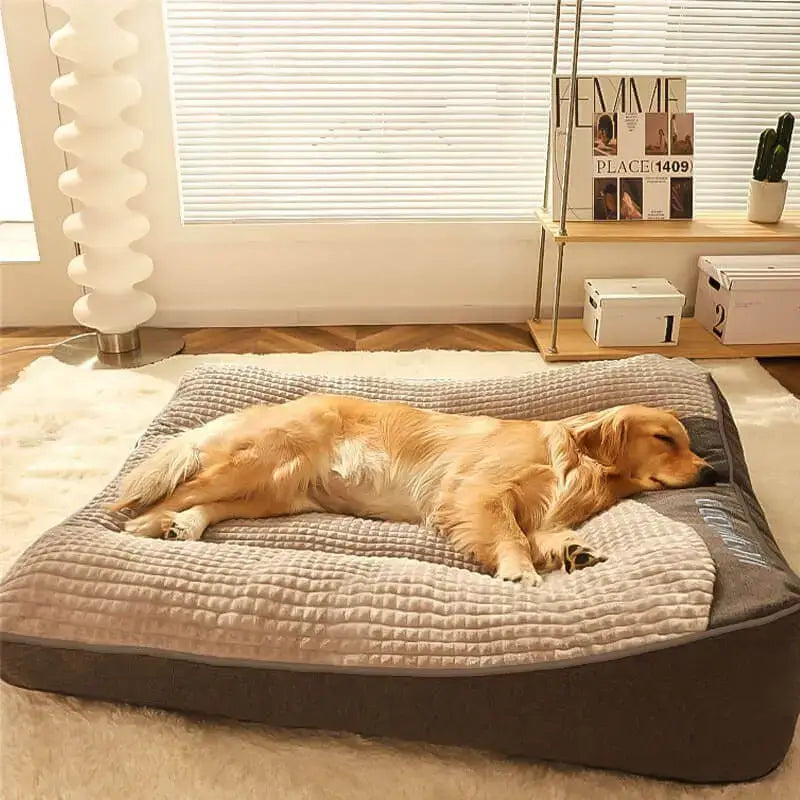 Large Scratch-Resistant Orthopedic Dog Cushion Bed