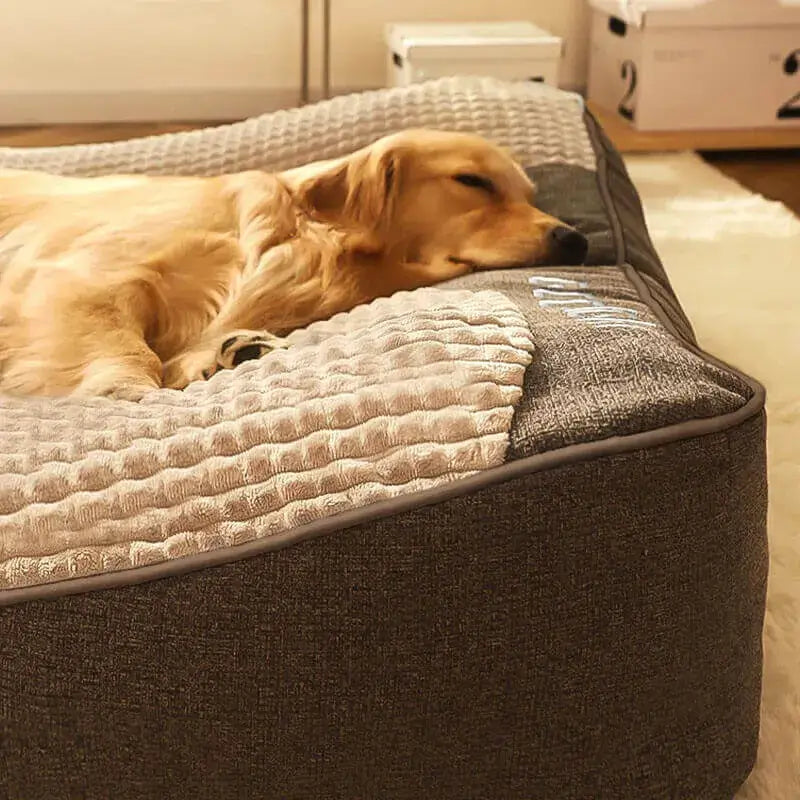 Large Scratch-Resistant Orthopedic Dog Cushion Bed